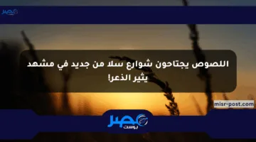 اللصوص يجتاحون شوارع سلا من جديد في مشهد يثير الذعر!
